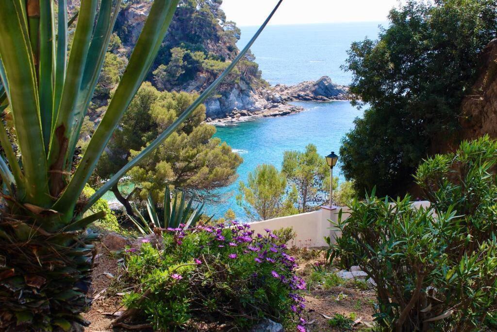 Estudio A 100M De La Playa Tossa de Mar Eksteriør billede