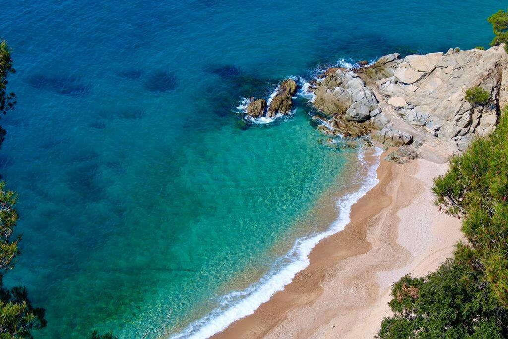 Estudio A 100M De La Playa Tossa de Mar Eksteriør billede